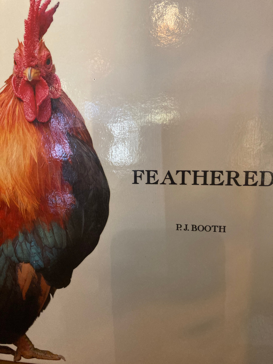 Book - Feathered